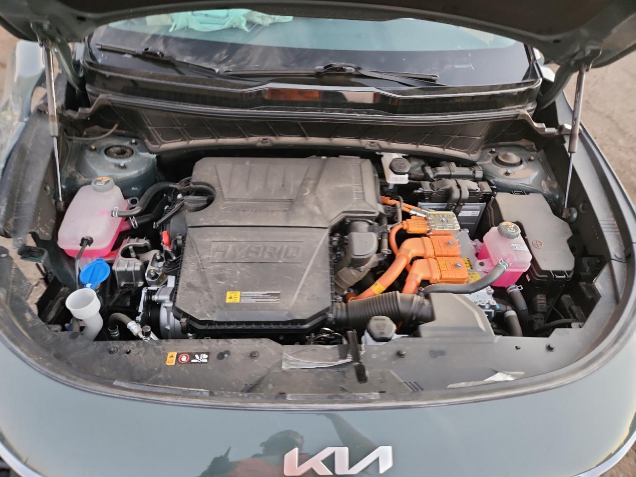 2025 KIA Niro