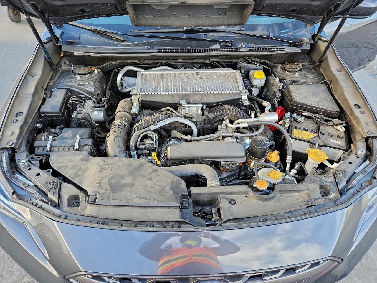 2023 SUBARU WRX