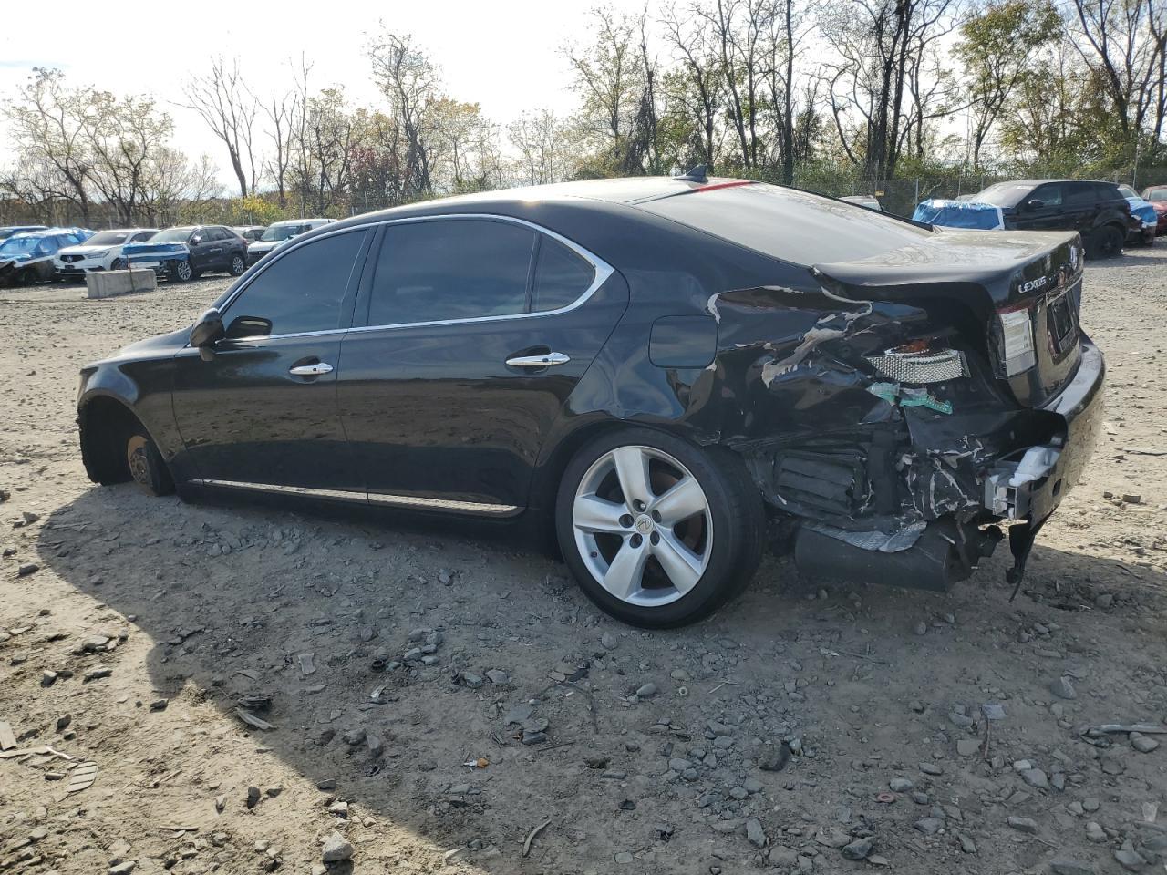 2009 LEXUS LS 460