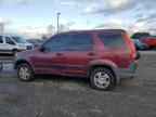 2004 HONDA CR-V