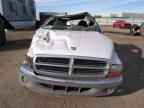 1998 DODGE Dakota