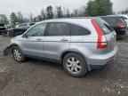 2007 HONDA CR-V