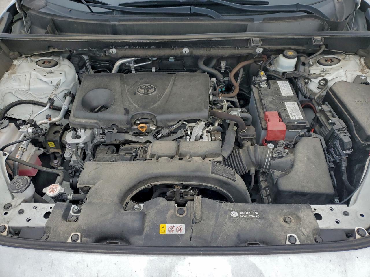 2019 TOYOTA RAV4