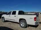 2008 DODGE Dakota