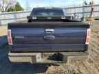 2009 FORD F-150
