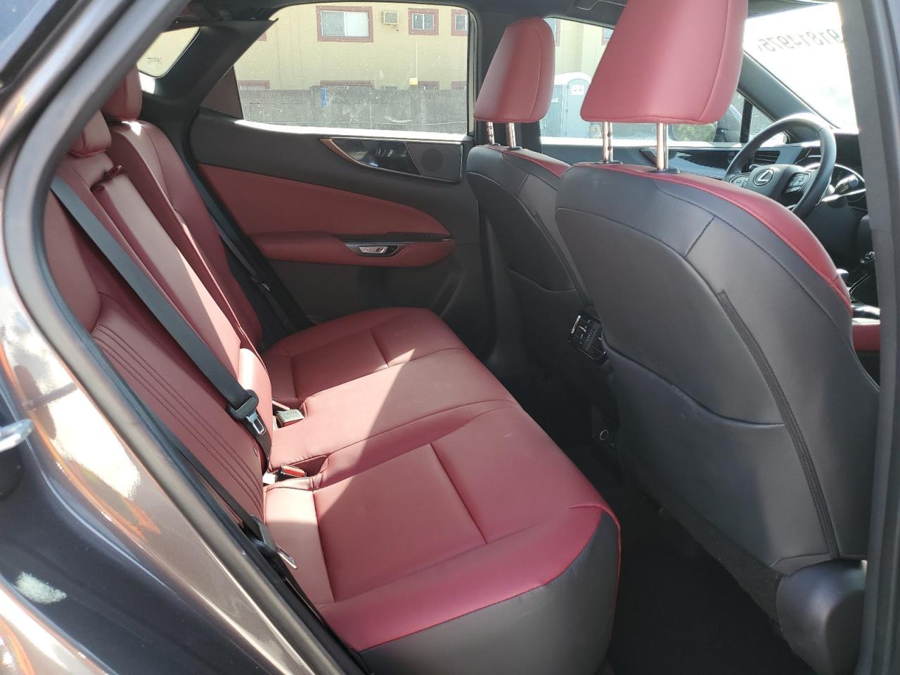 2024 LEXUS NX 250