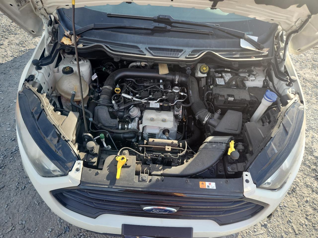 2019 FORD EcoSport