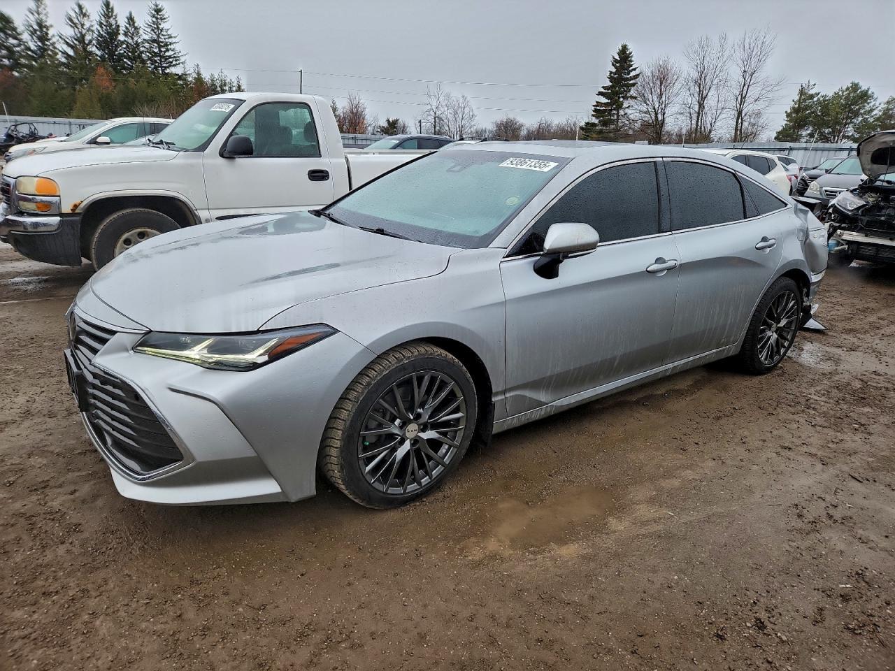 2019 TOYOTA Avalon