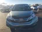 2010 HONDA CR-V