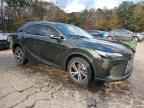 2024 LEXUS RX 350