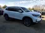 2022 HONDA Passport