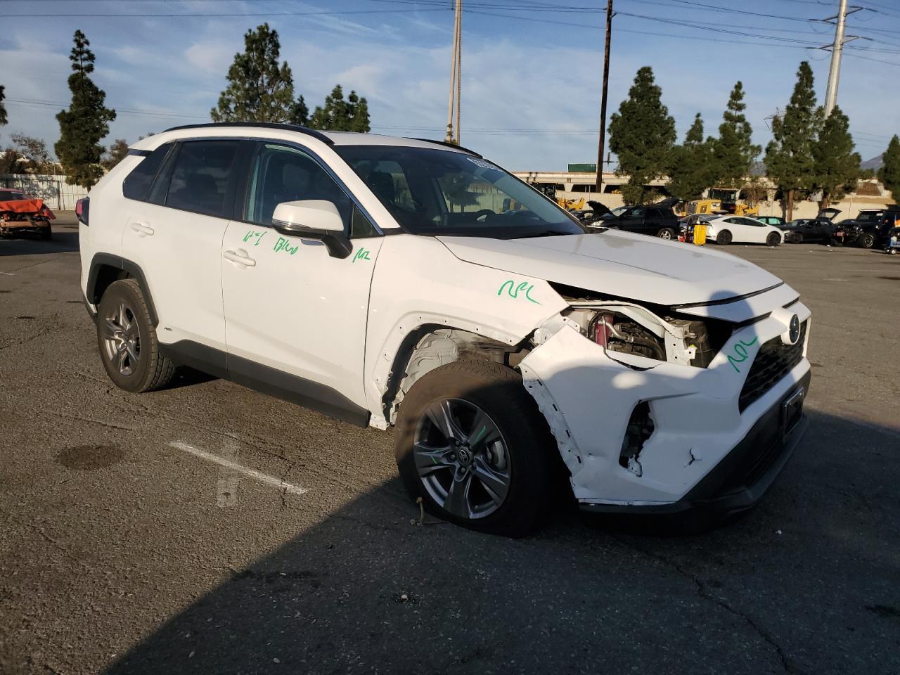 2024 TOYOTA RAV4