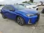 2025 LEXUS UX 300H