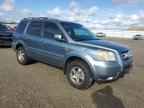 2006 HONDA PILOT