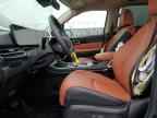 2025 KIA Carnival