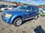 2009 FORD ESCAPE