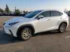 2020 LEXUS NX 300