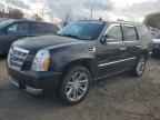 2013 CADILLAC ESCALADE