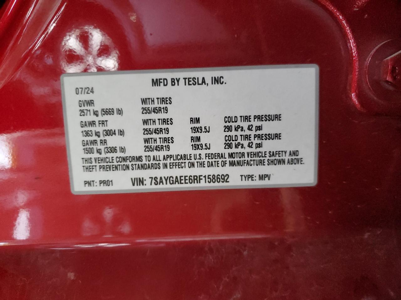 2024 TESLA MODEL Y
