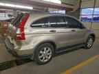 2007 HONDA CR-V
