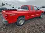 2008 DODGE Dakota