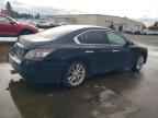 2013 NISSAN Maxima
