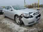 2009 CHEVROLET MALIBU