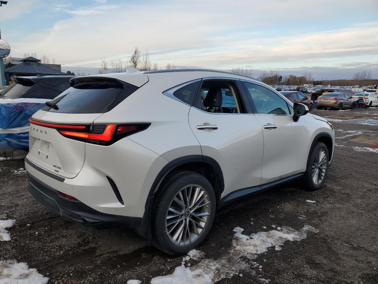 2022 LEXUS NX 350