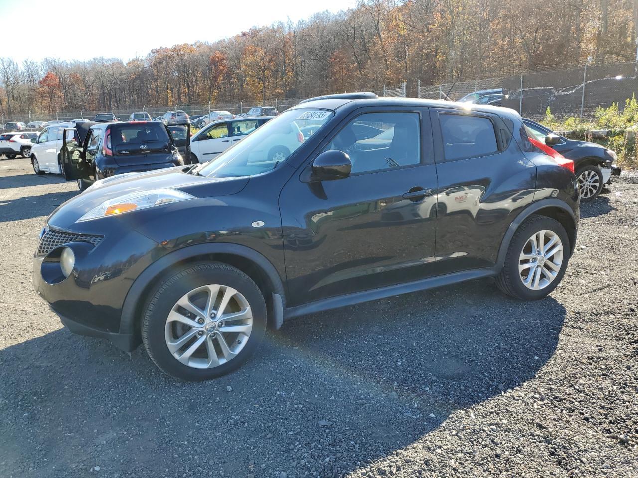 2012 NISSAN Juke