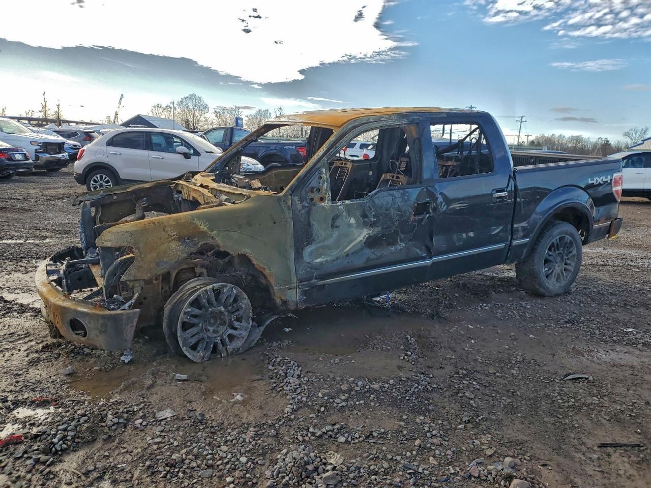 2010 FORD F-150