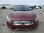 2010 NISSAN Maxima