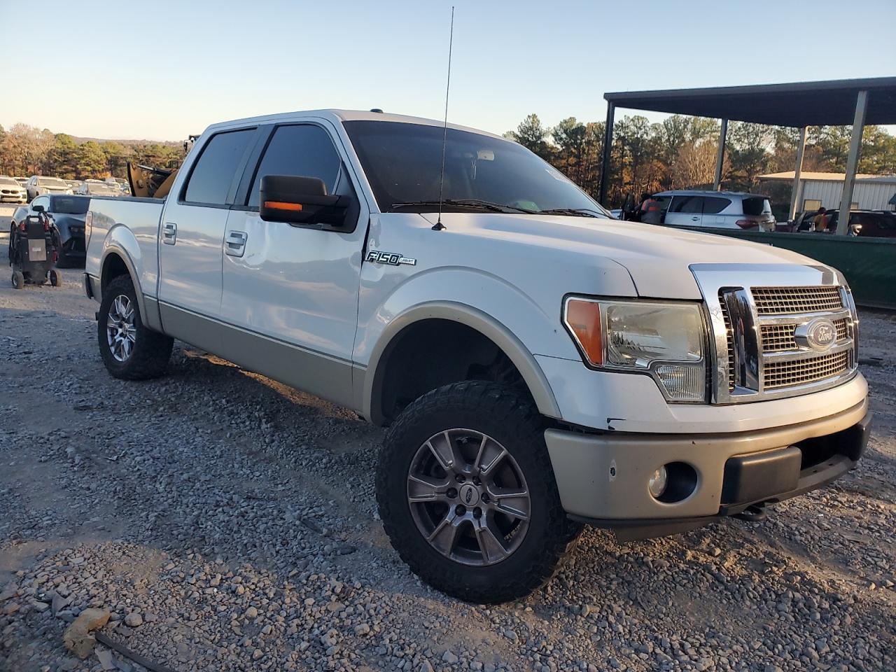 2010 FORD F-150