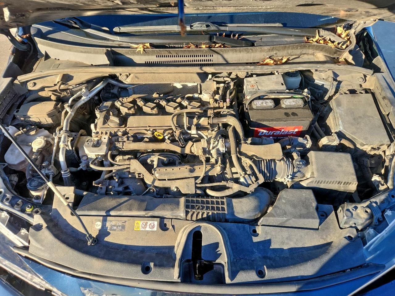 2021 TOYOTA COROLLA