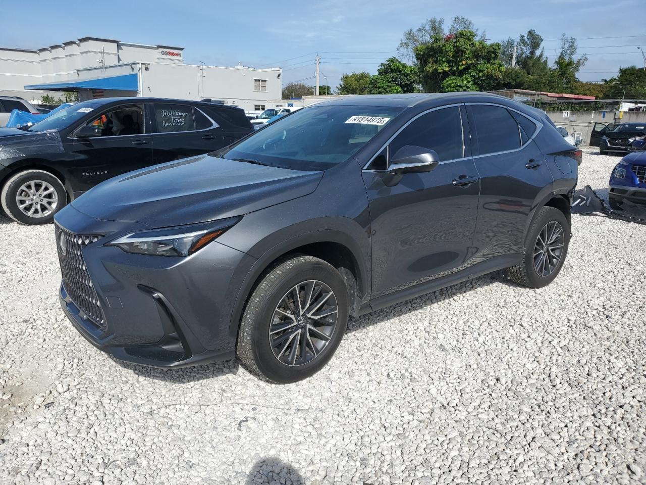 2024 LEXUS NX 250