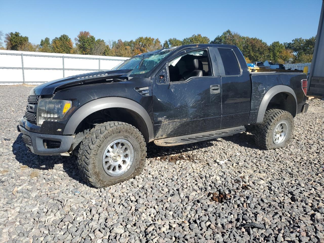 2010 FORD F-150