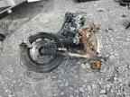 2025 HONDA Grom