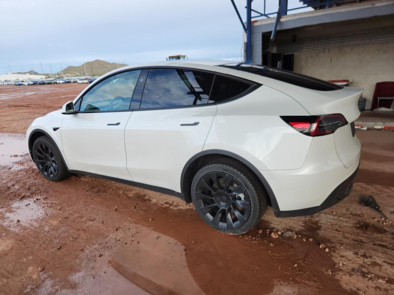 2025 TESLA MODEL Y