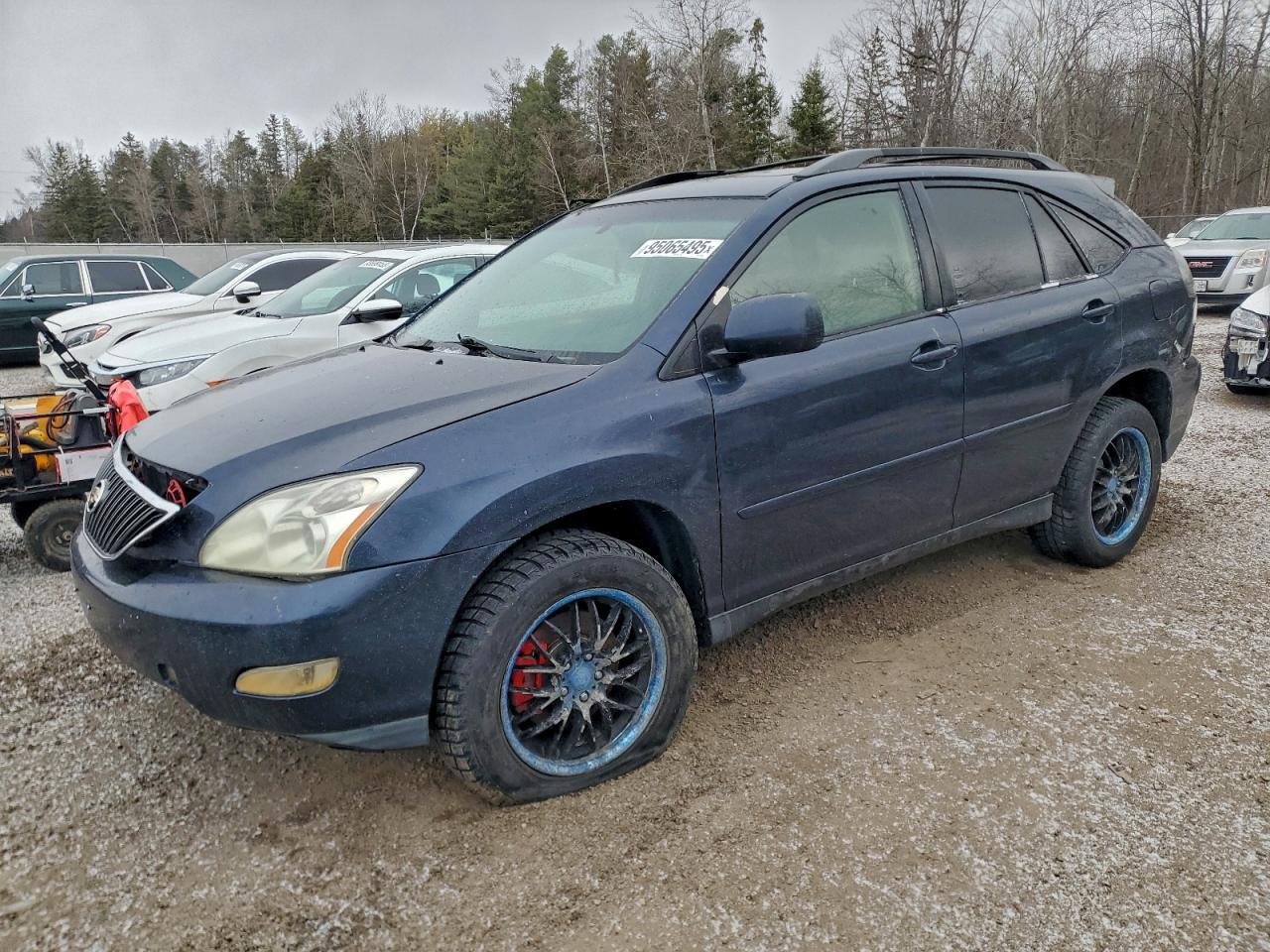 2004 LEXUS Rx 330