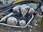 2024 HONDA Vt1300