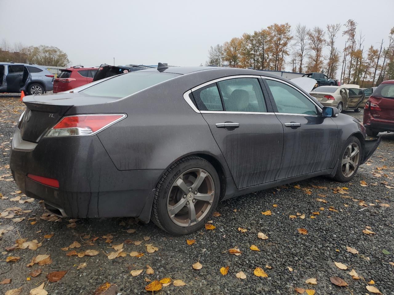 2011 ACURA TL