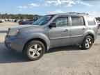 2010 HONDA PILOT