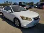 2009 HONDA ACCORD