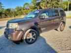 2013 HONDA PILOT