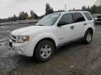 2012 FORD Escape Hybrid