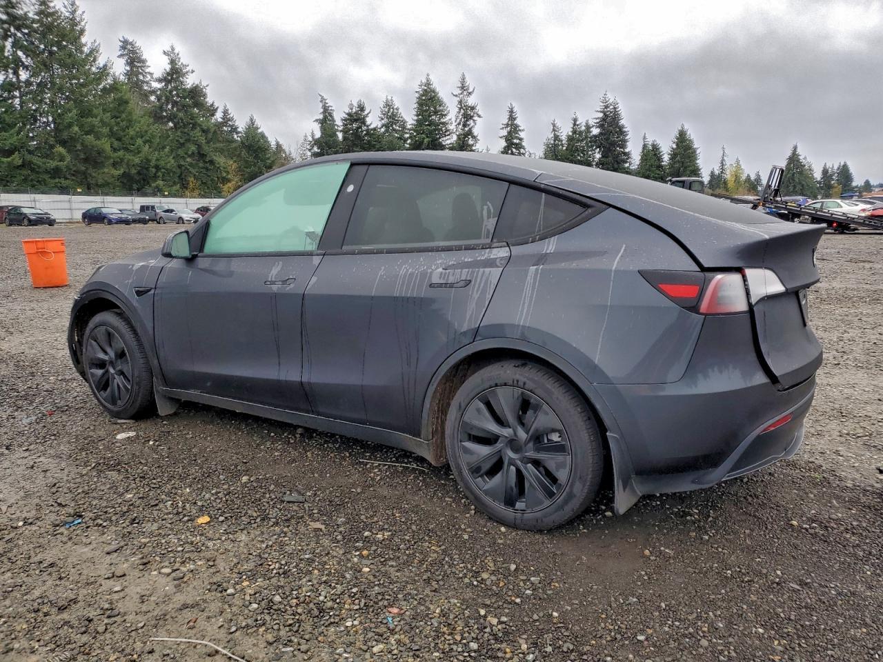 2025 TESLA MODEL Y