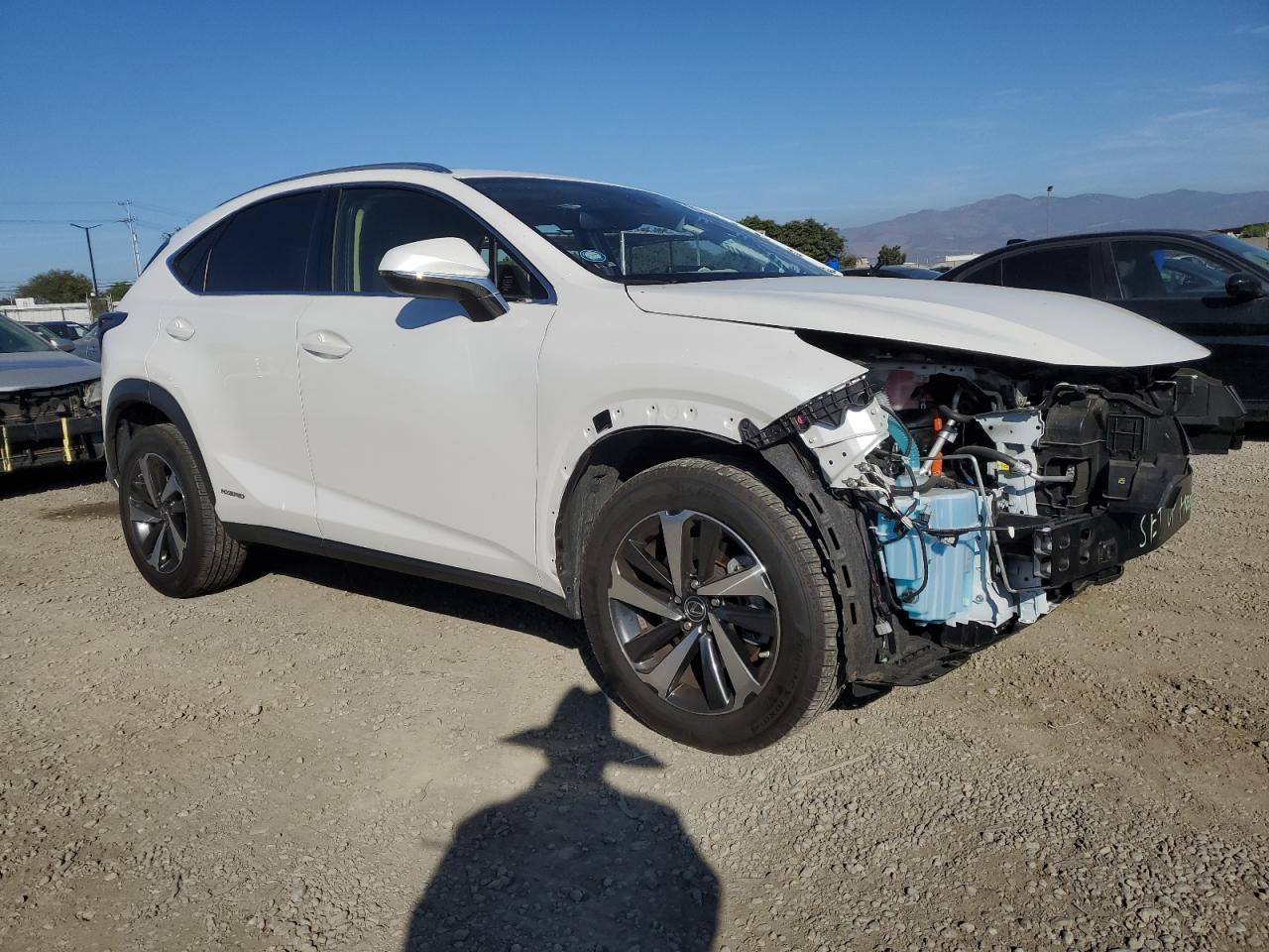 2021 LEXUS NX 300H