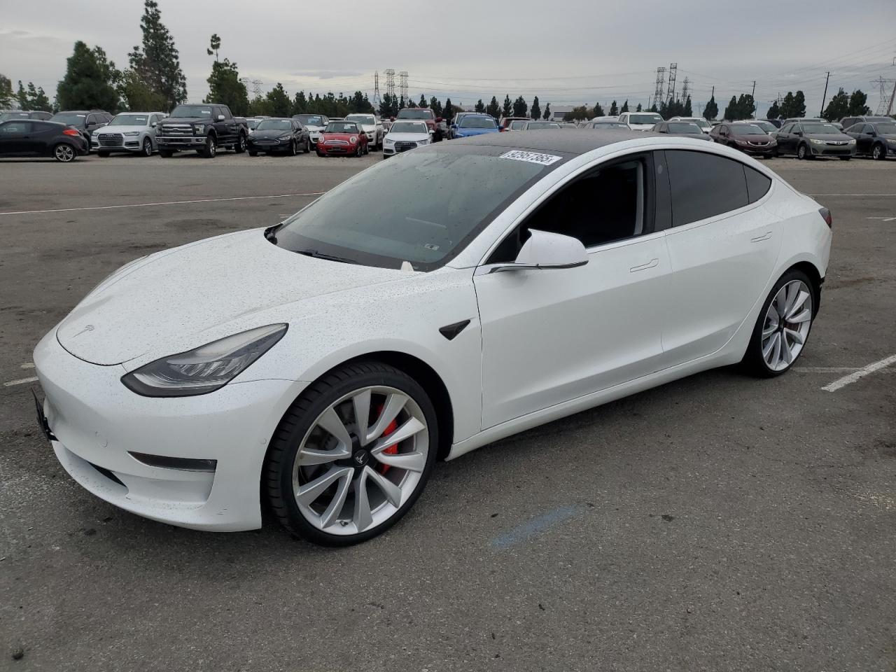 2019 TESLA MODEL 3