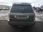 2007 HONDA PILOT