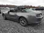2013 FORD MUSTANG