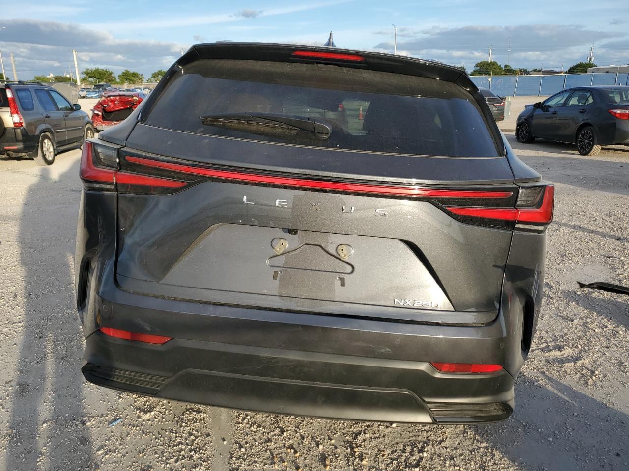 2025 LEXUS NX 250